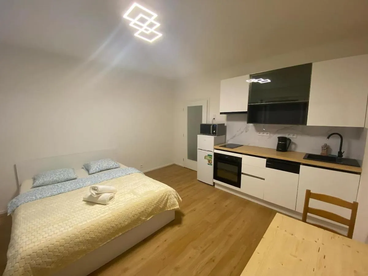 Apartment, 5Min Downtown برنو جمهورية التشيك